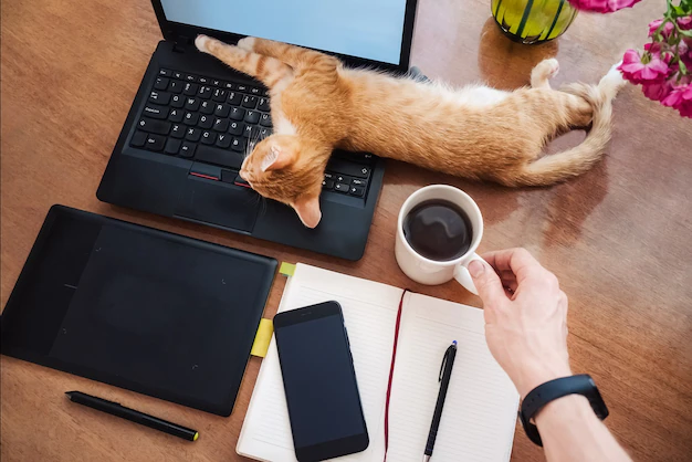 Relaxed setting showing laptop with cat laying on keyboard and cup of coffee nearby {{brizy_dc_image_alt imageSrc=